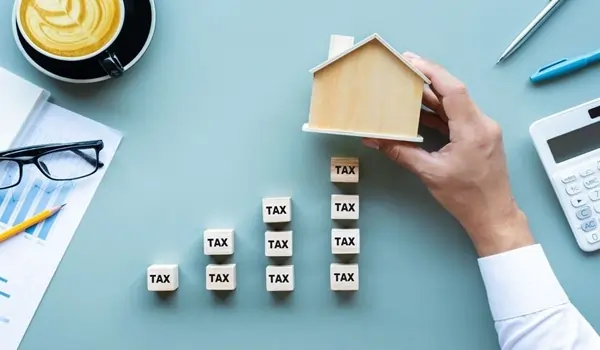 Sattva Ozone taxes and standards